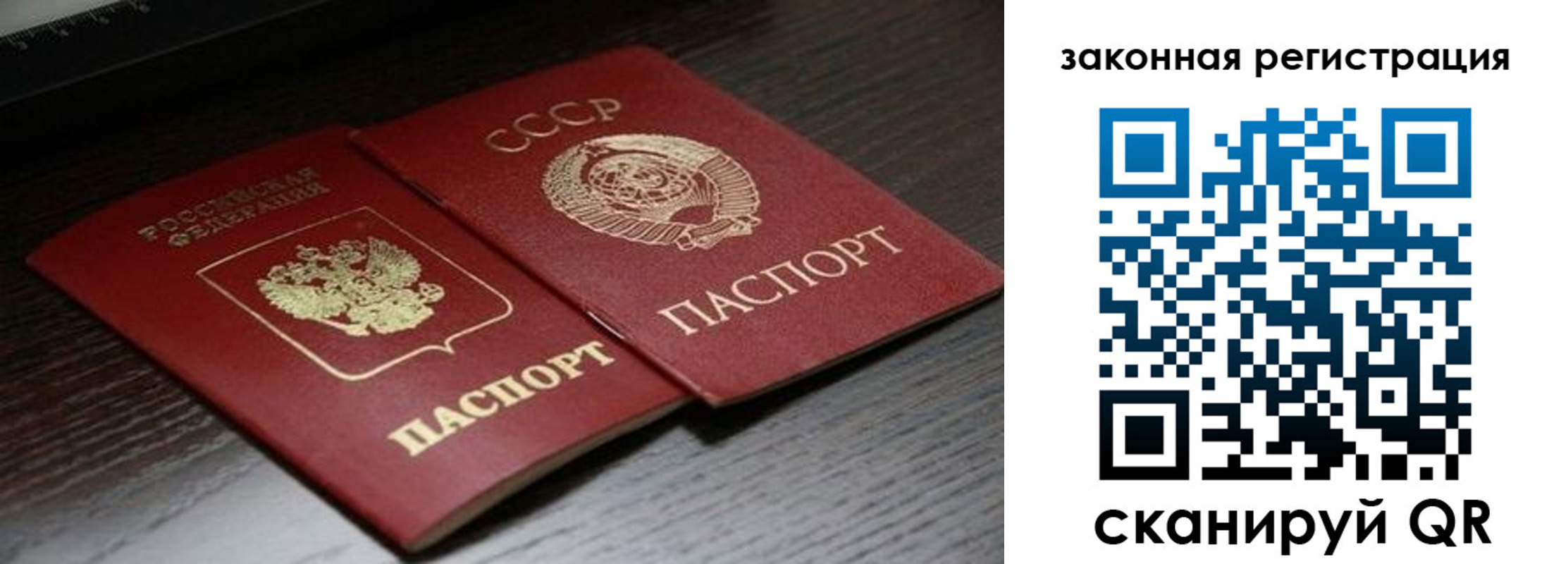 прописка поиск в Ростове